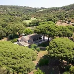 With Pool House Near